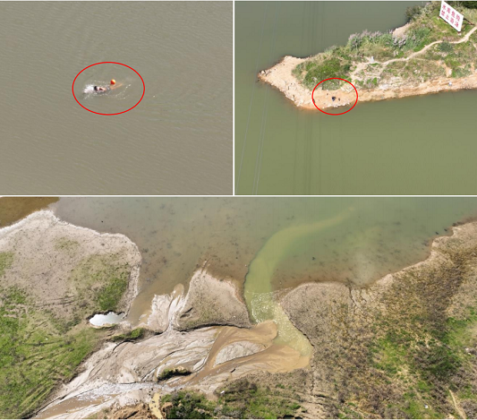 1650943335128931.png 圖片28.png